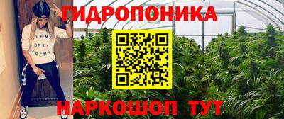 дмт Кандалакша