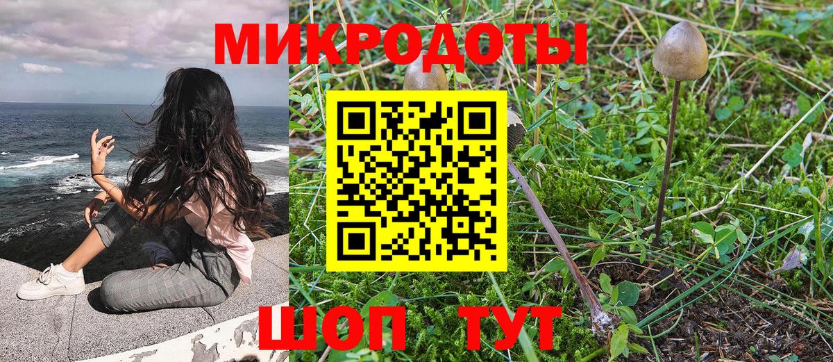 купить закладку  Вход с VPN  Псилоцибиновые грибы GOLDEN TEACHER  Лесной  Галлюциногенные грибы Psilocybe 